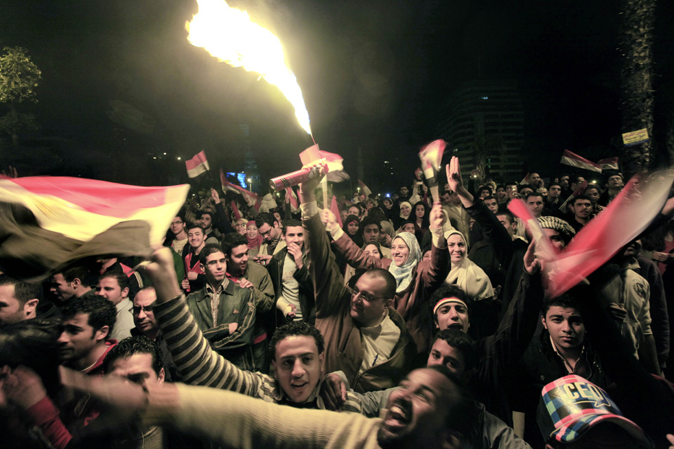 mubarak_leaves_15.jpg