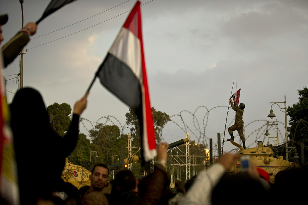 mubarak_leaves_27.jpg