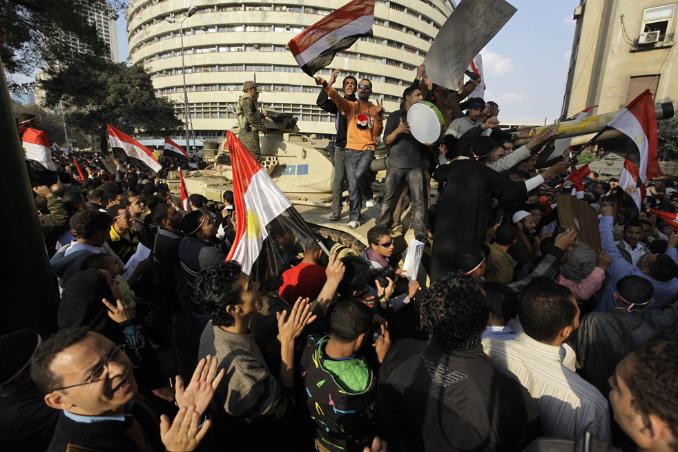 mubarak_leaves_29.jpg