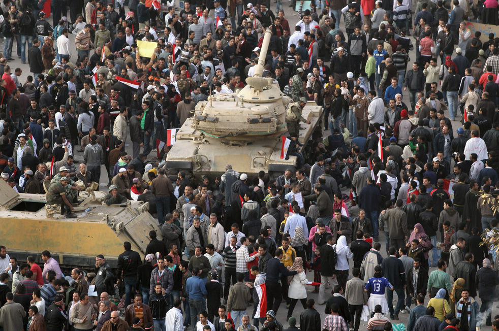 mubarak_leaves_31.jpg
