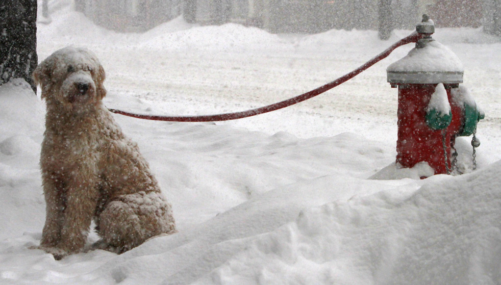 winter_storm_26.jpg