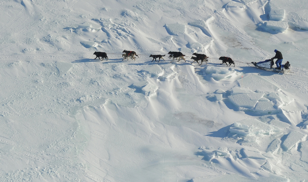 idtarod_2011_01.jpg