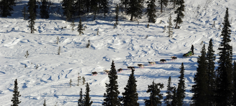 iditarod_2011_05.jpg