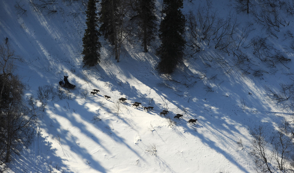 iditarod_2011_06.jpg
