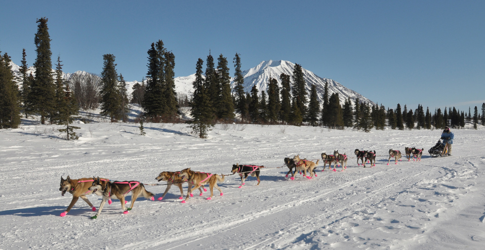 iditarod_2011_08.jpg