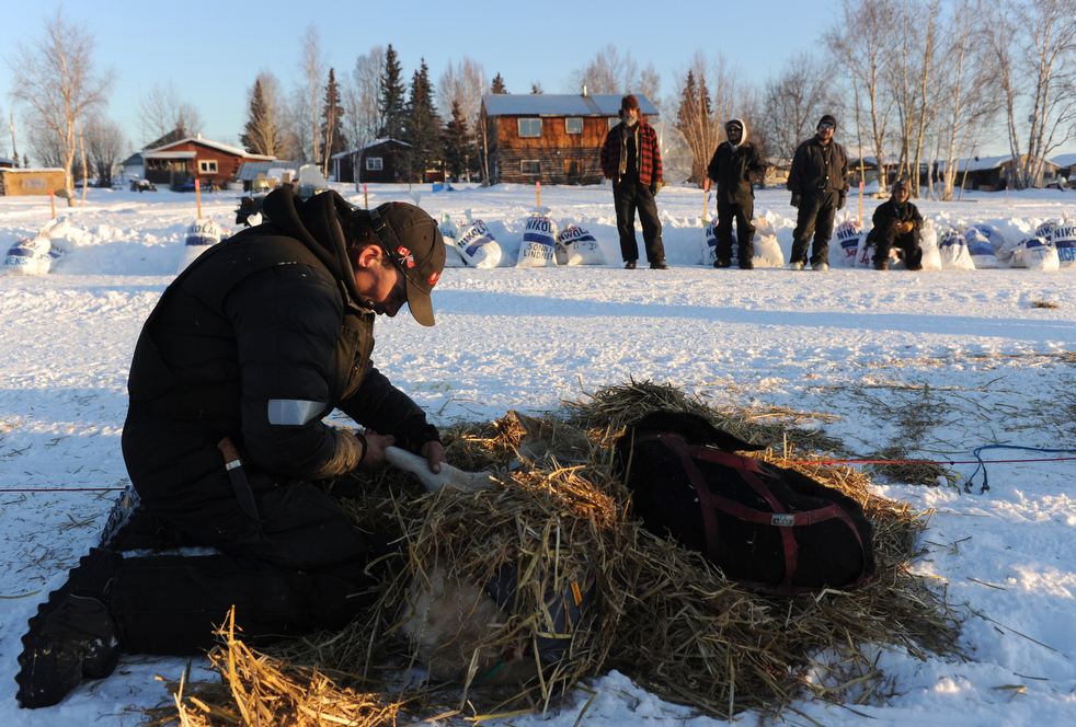iditarod_2011_14.jpg
