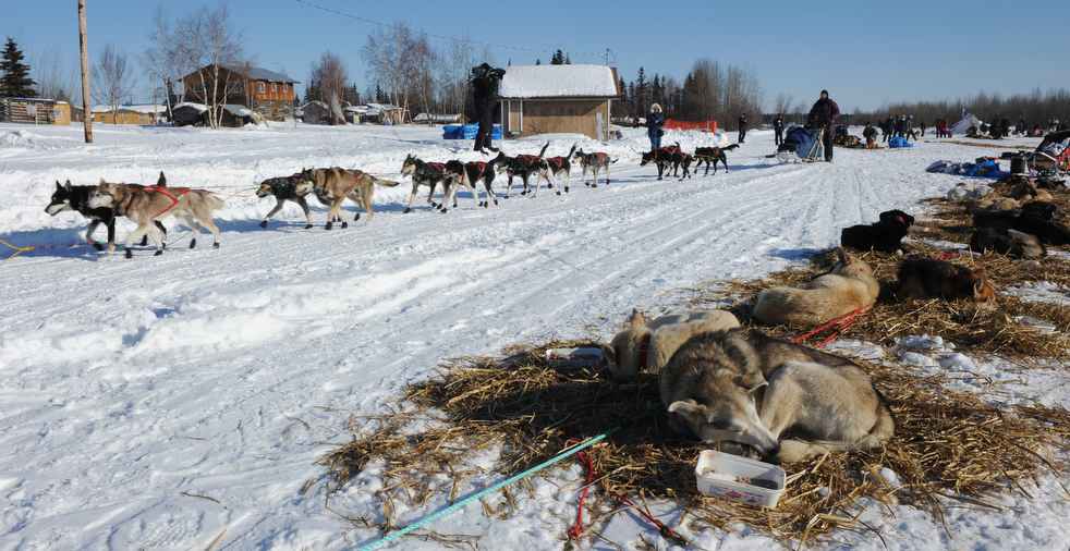 iditarod_2011_17.jpg