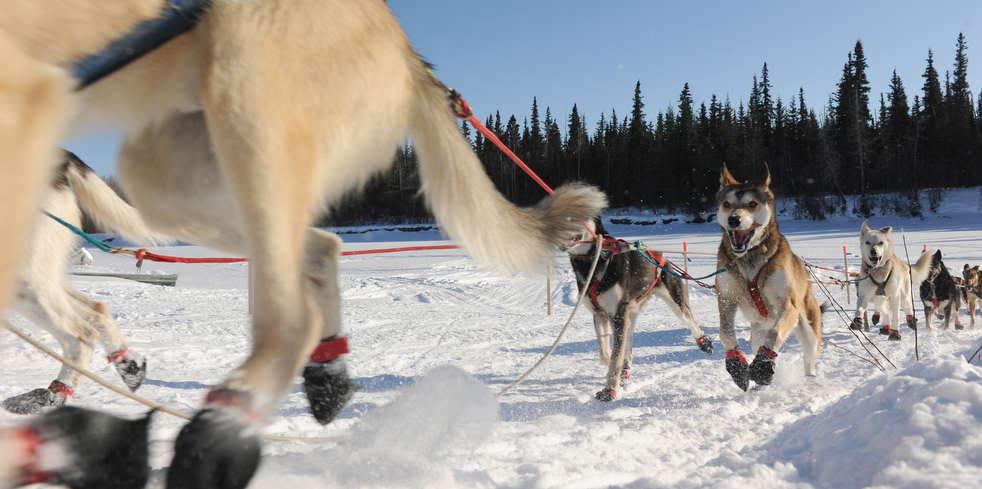 iditarod_2011_18.jpg