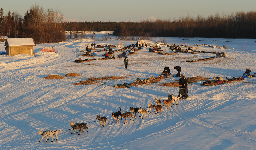iditarod_2011_19.jpg