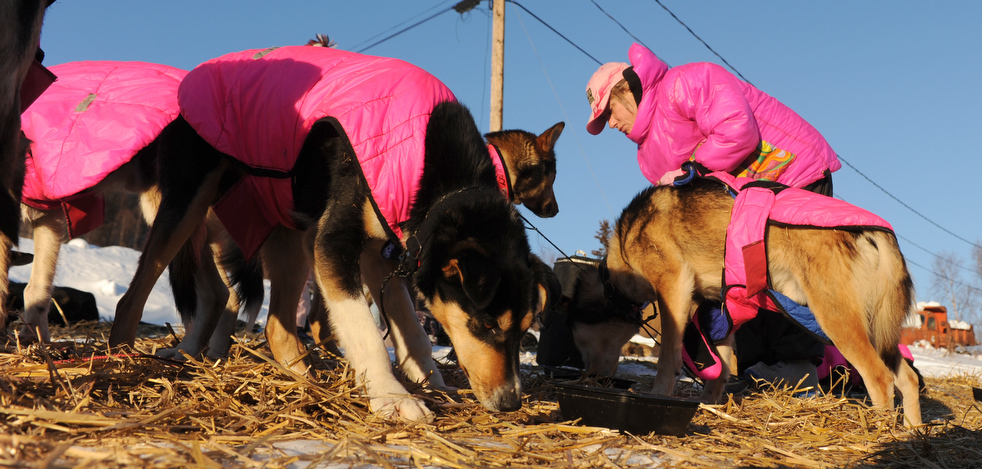 iditarod_2011_21.jpg