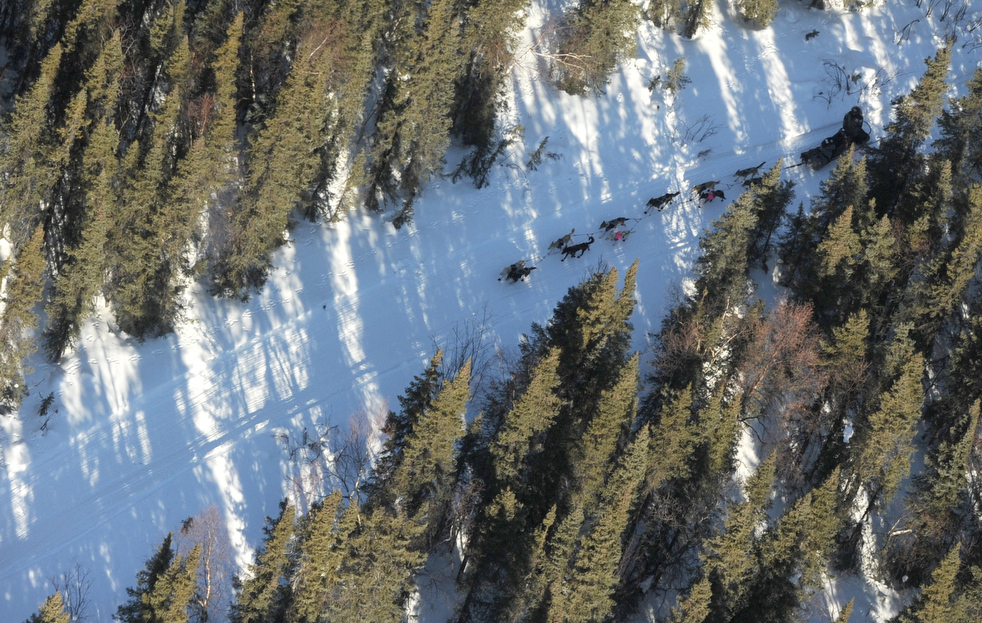 iditarod_2011_24.jpg