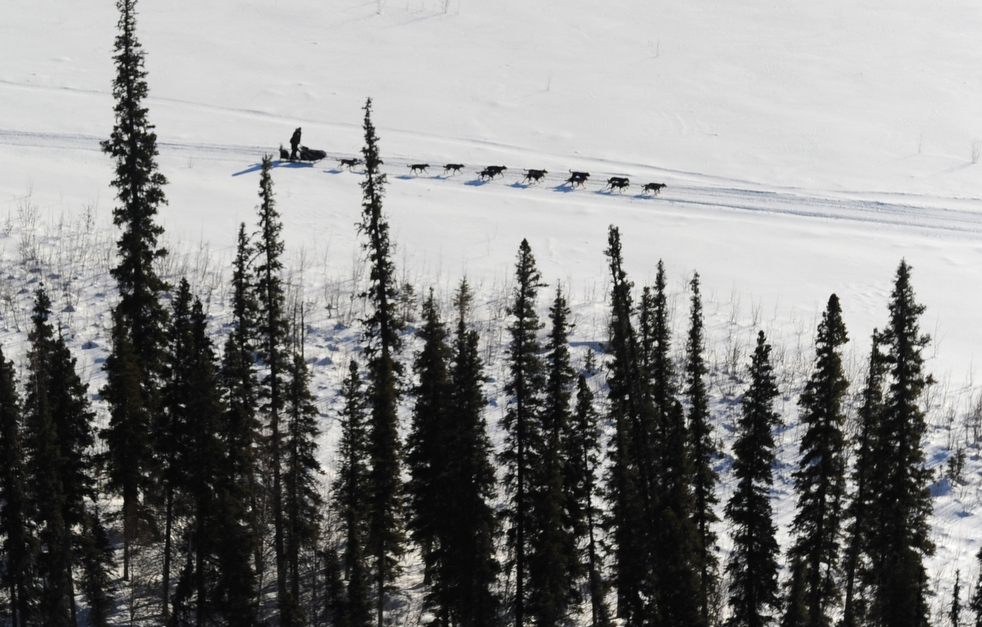 iditarod_2011_25.jpg