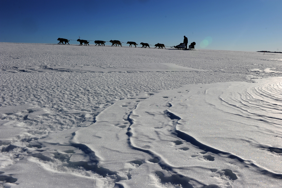 iditarod_2011_26.jpg