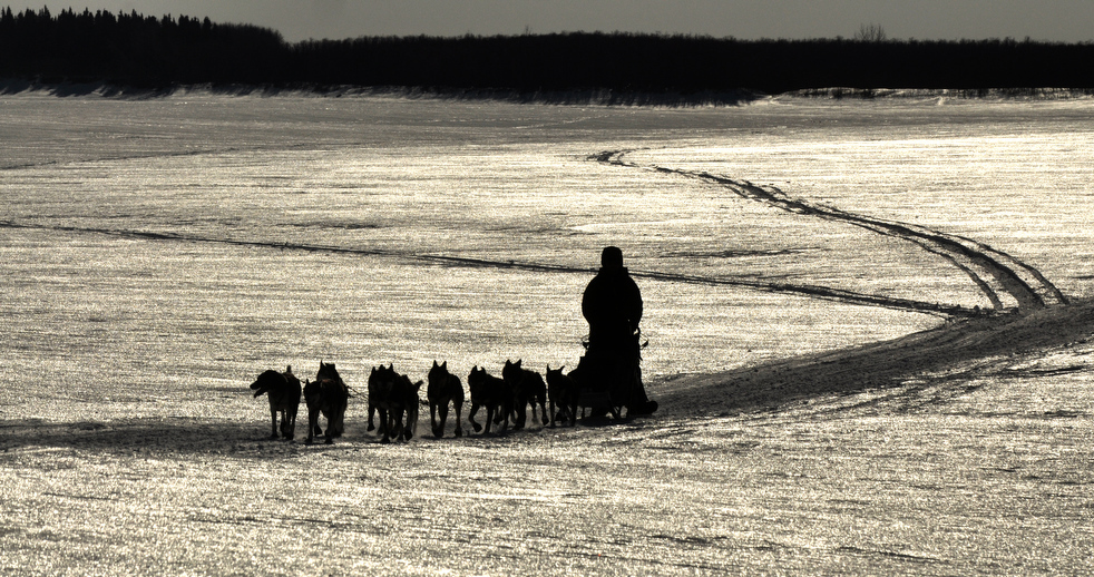 iditarod_2011_28.jpg