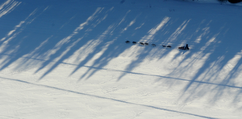iditarod_2011_29.jpg
