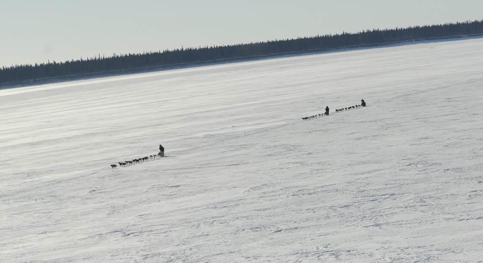 iditarod_2011_31.jpg