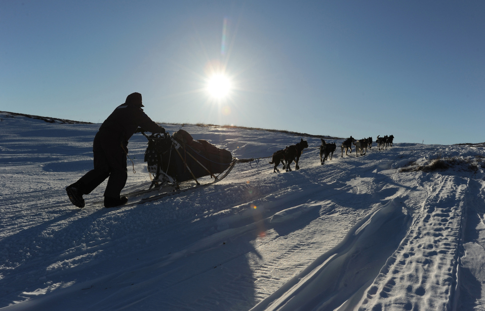 iditarod_2011_33.jpg