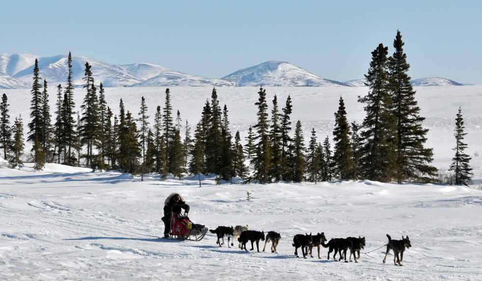 iditarod_2011_35.jpg