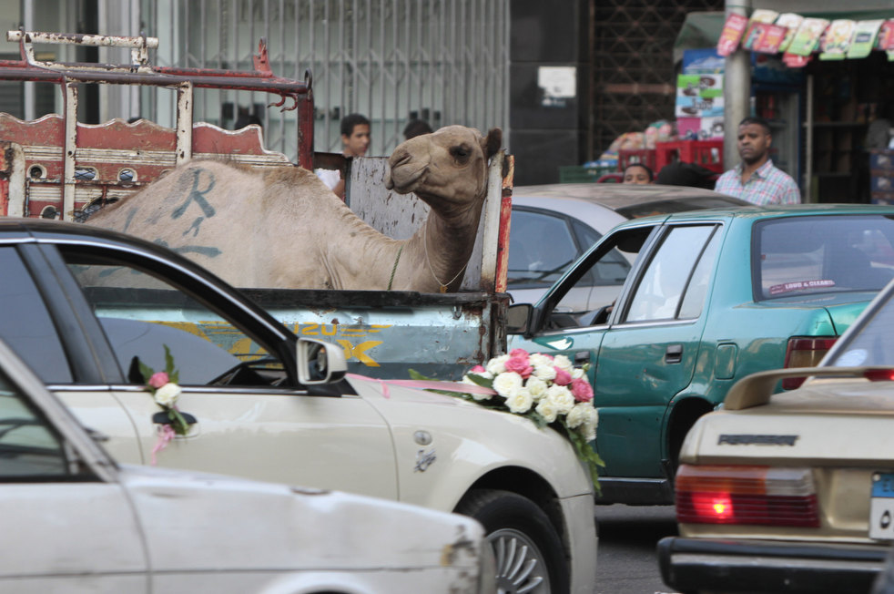 hajj_110611_20.jpg