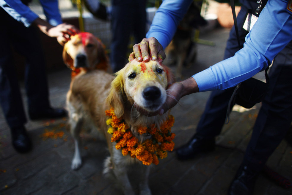 diwali_festival_1026_14.jpg