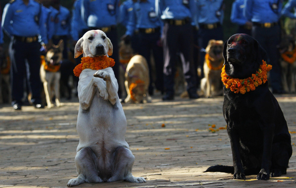 diwali_festival_1026_15.jpg