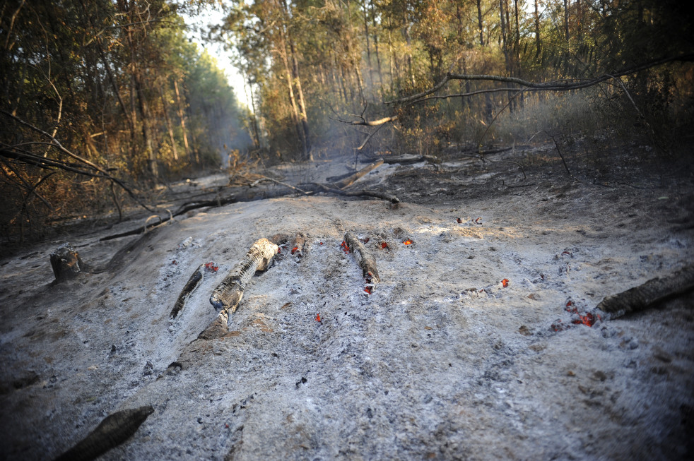 texas_wildfire_29.jpg