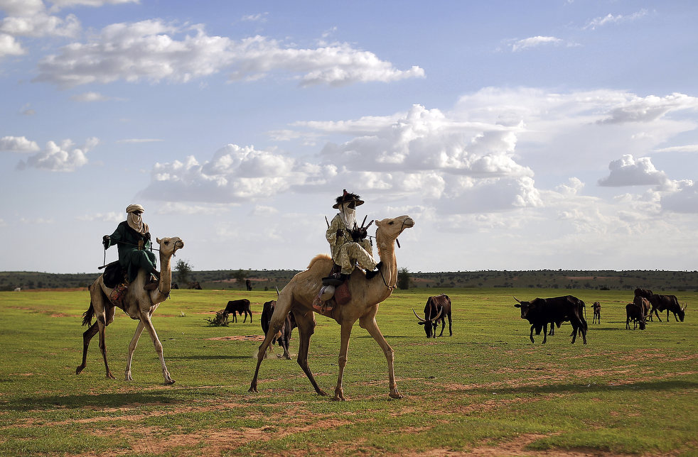 niger_last_camel_01.jpg