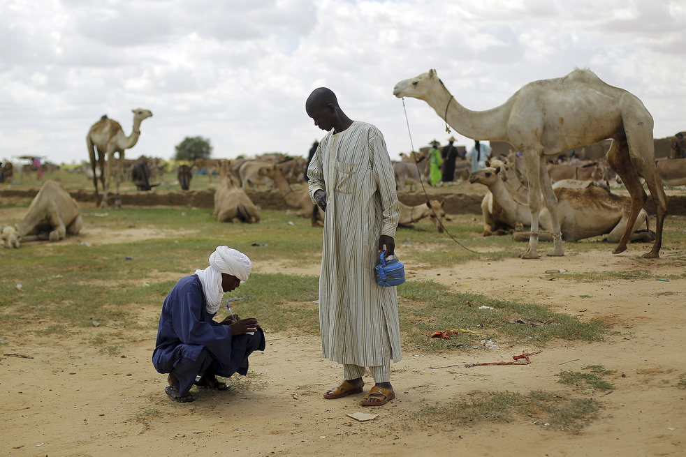 niger_last_camel_10.jpg