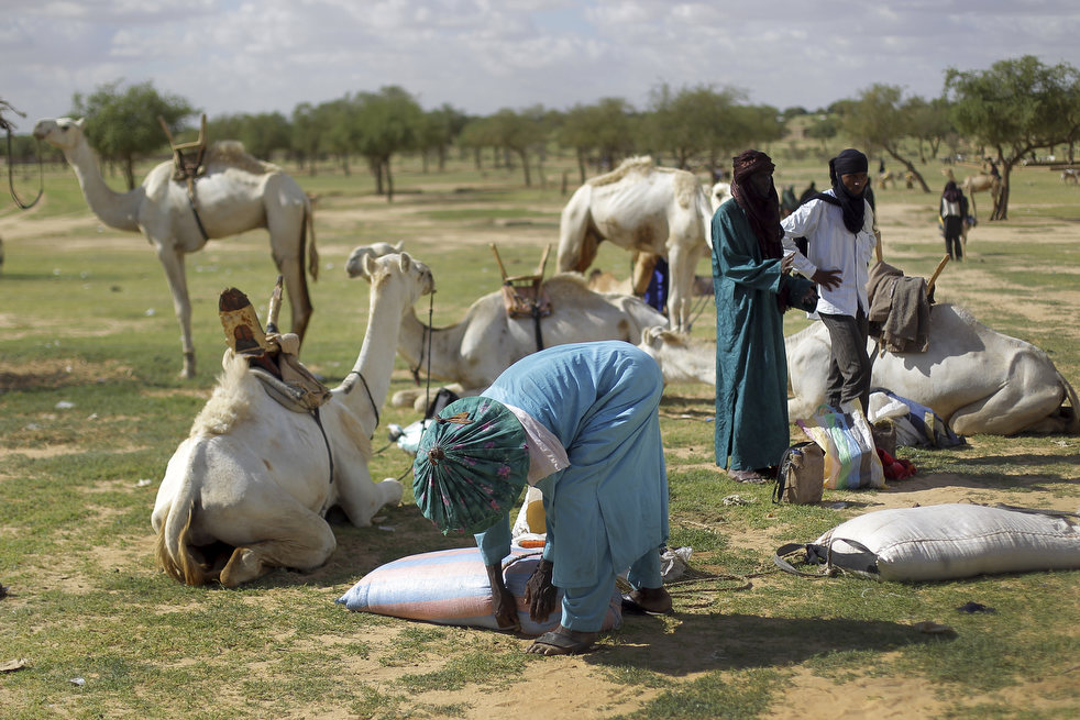 niger_last_camel_12.jpg
