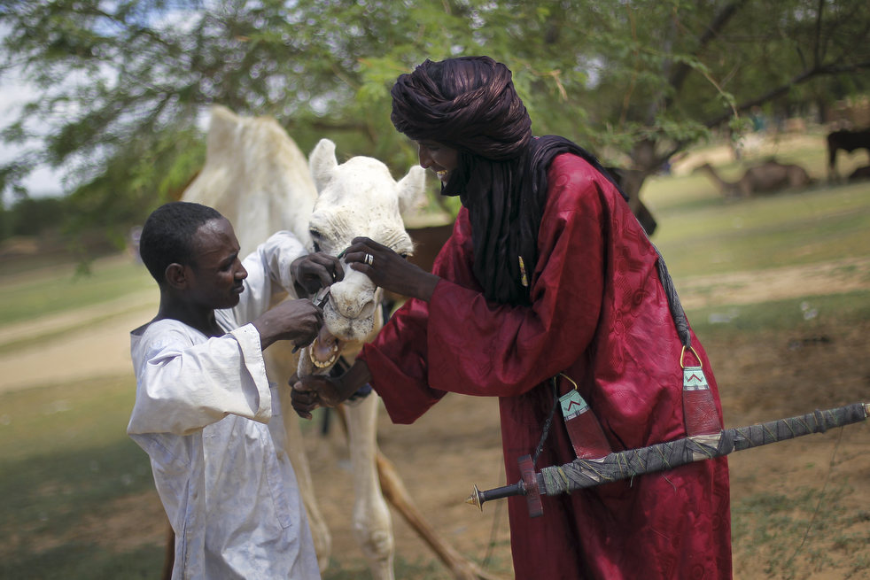 niger_last_camel_13.jpg