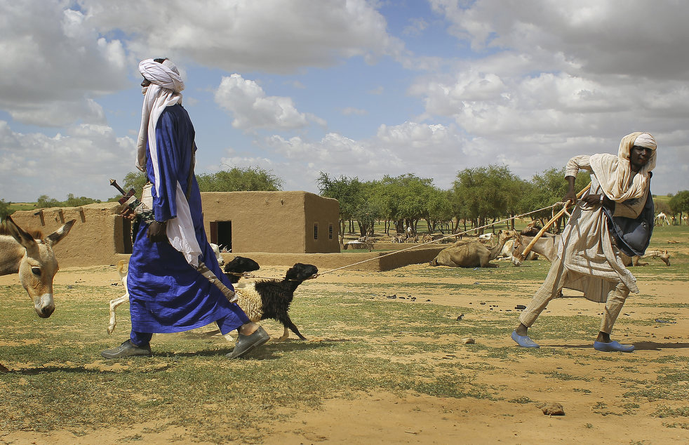 niger_last_camel_14.jpg