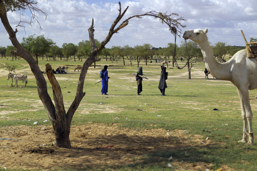 niger_last_camel_15.jpg