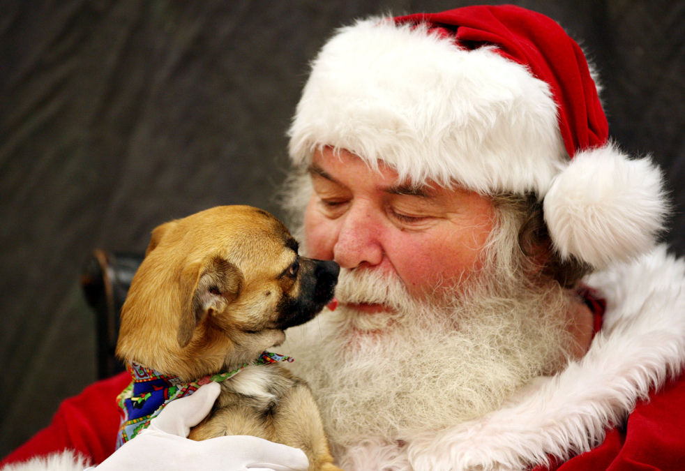 santa_2012_17.jpg