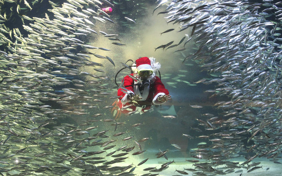 santa_2012_20.jpg