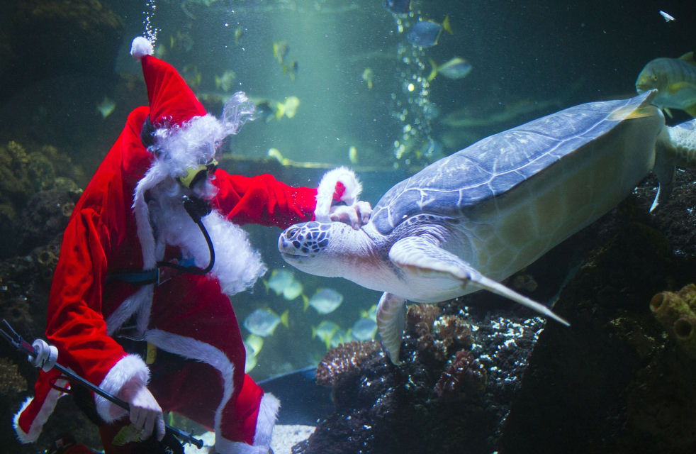 santa_2012_22.jpg