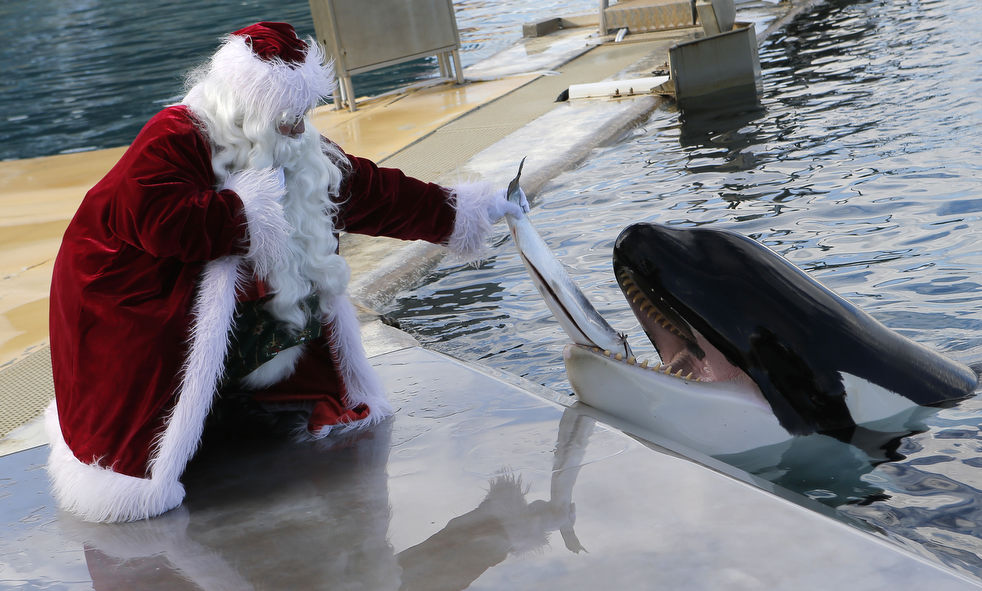 santa_2012_23.jpg