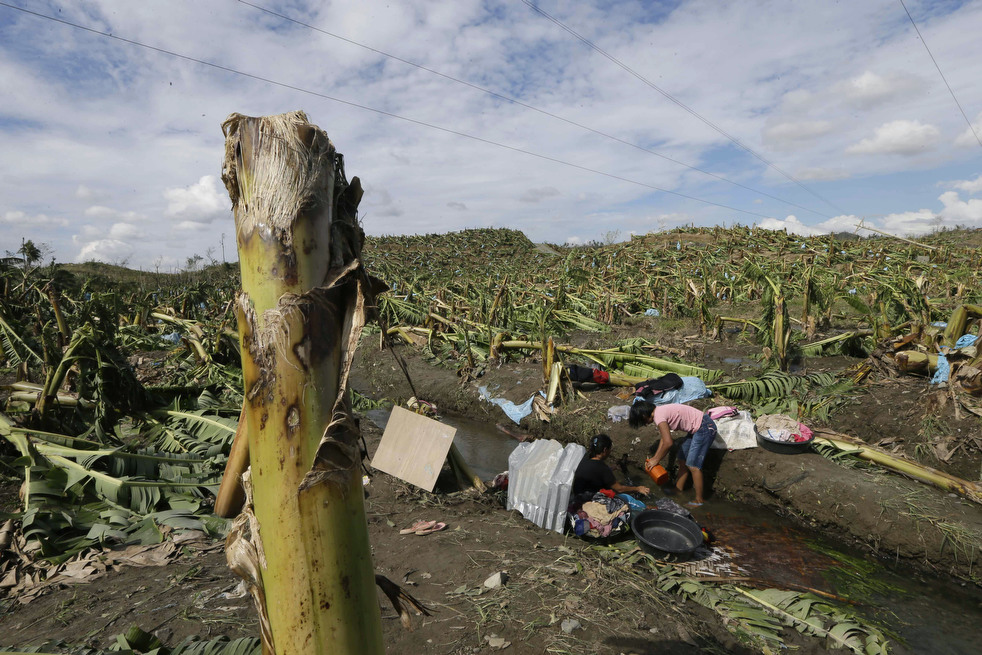 typhoon_bopha_2012_17.jpg