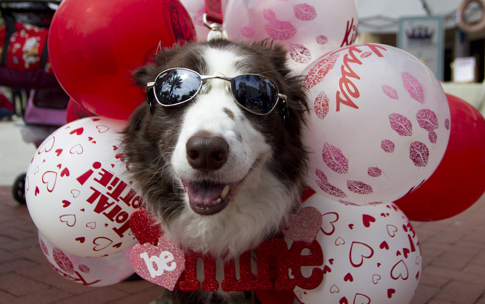 valentines_day_2012_07.jpg