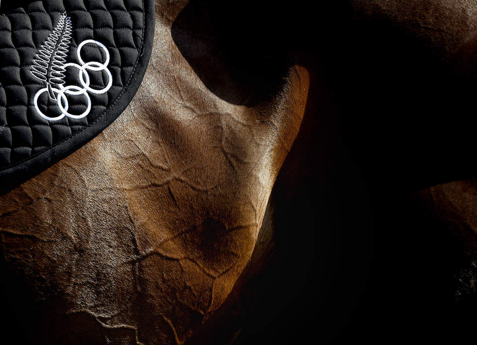 olympic_rings_09.jpg