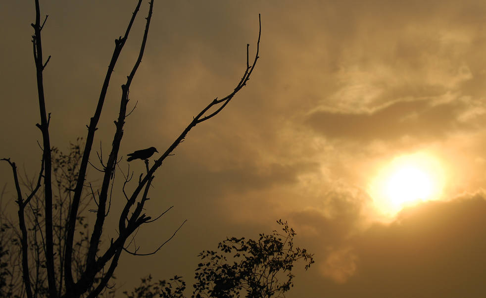 western_wildfires_062512_07.jpg