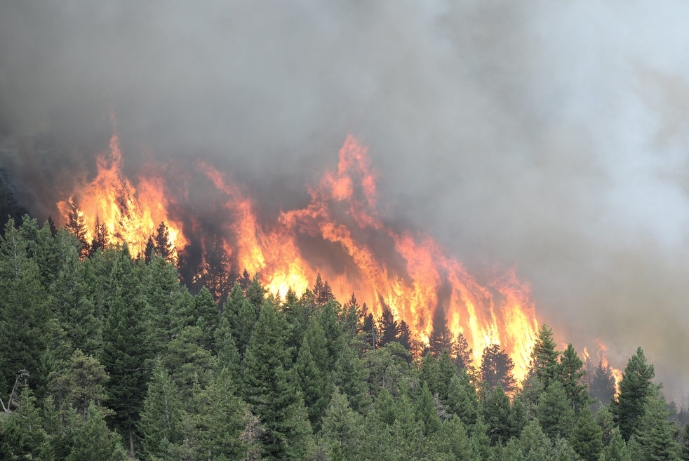 062712_wester_wildfires_11.jpg