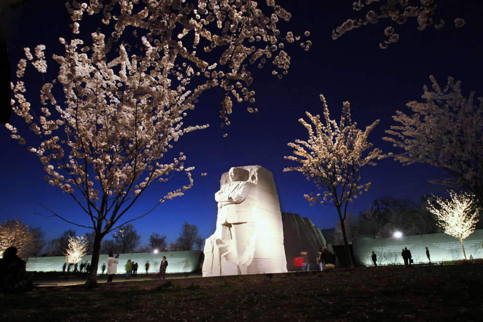 cherry_blossom_032112_01.jpg