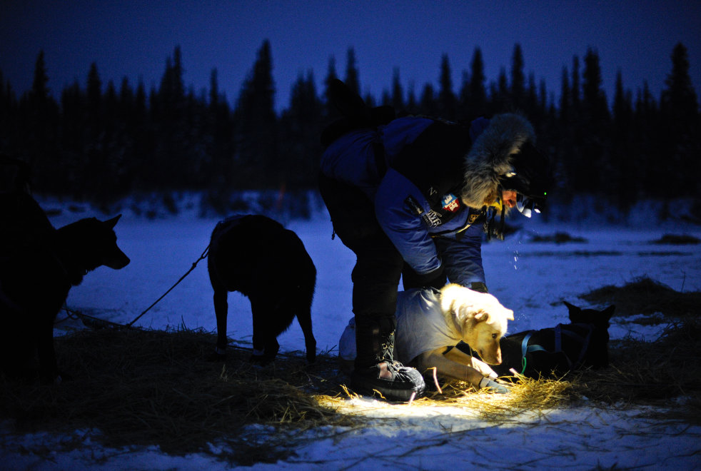 iditarod_2012_01.jpg