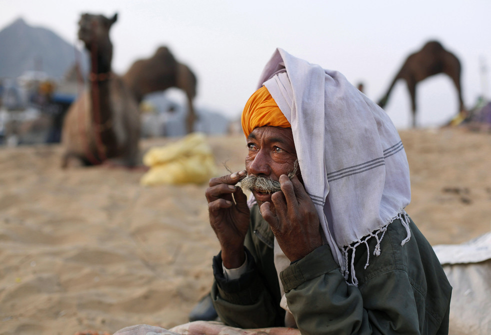 india_cattle_fair_10.jpg