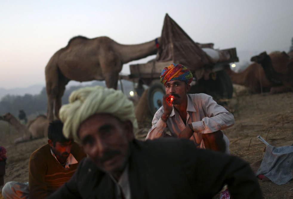 india_cattle_fair_12.jpg