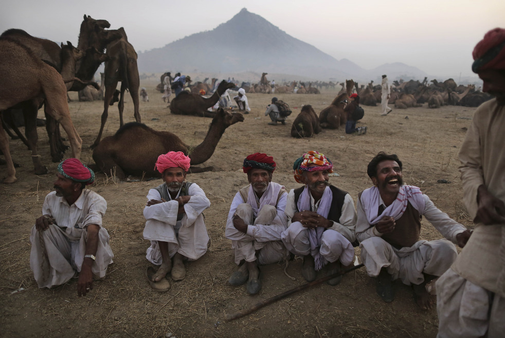 india_cattle_fair_18.jpg