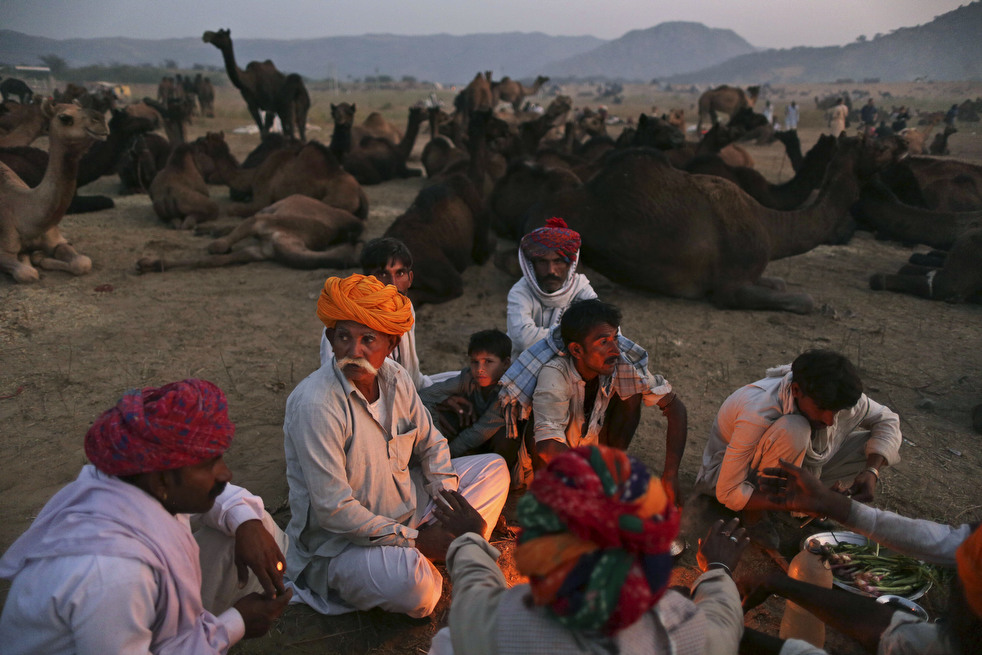 india_cattle_fair_19.jpg