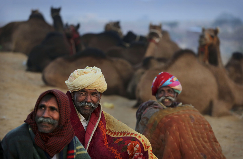 india_cattle_fair_20.jpg