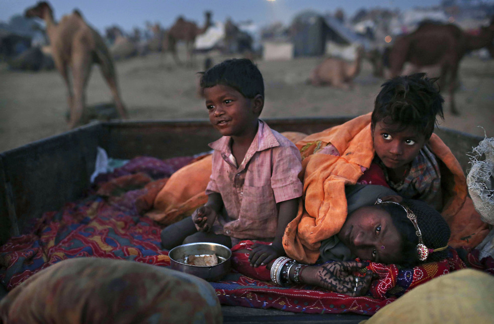 india_cattle_fair_25.jpg