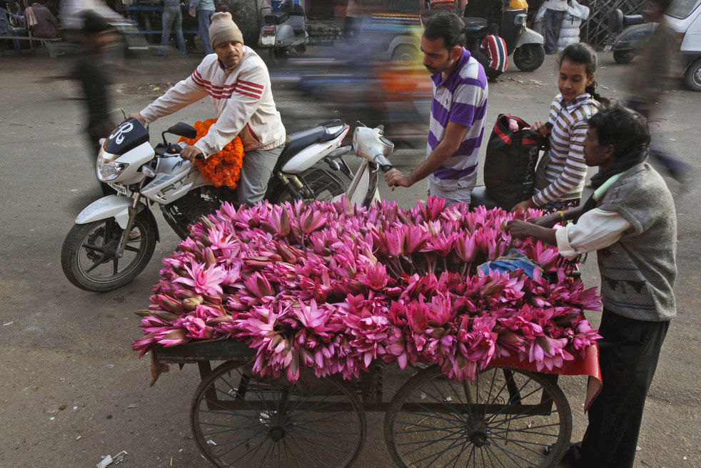 india_diwali_2012_22.jpg